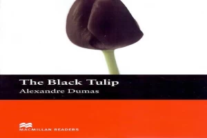 The Black Tulip